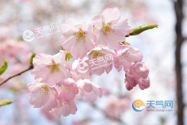 2023北京清明節(jié)適合去哪里旅游 清明北京踏青最佳去處