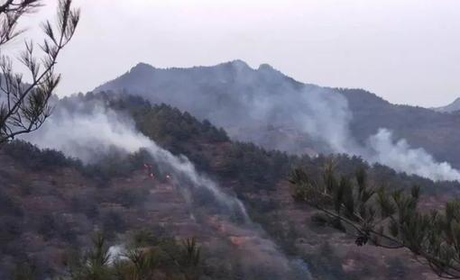 甘肃省陇南一村落发生山火 过火面积3.3公顷无人员伤亡