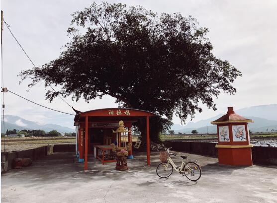 二月二龙抬头回娘家忌讳什么 关于二月二龙抬头的禁忌