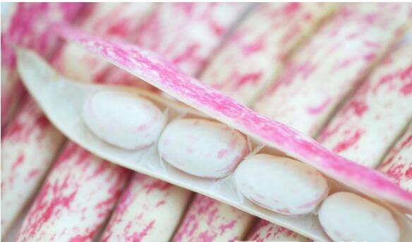 山东二月二龙抬头吃什么 山东龙抬头有哪些食俗