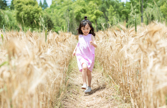 公历3月11日是什么节日 2020年3月11日是国际尊严尊敬日