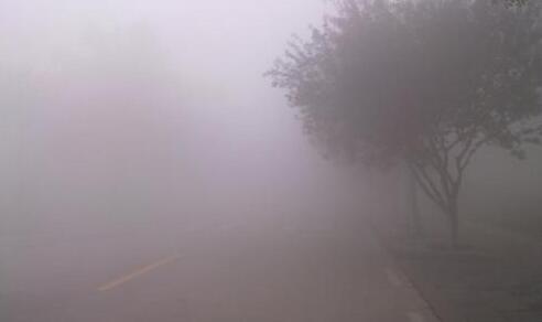 安徽多地出现大雾天气 境内部分高速入口封闭