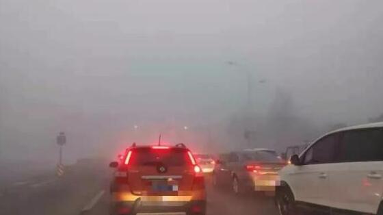 上周末山东多地出现大雾 多条高速入口临时关闭