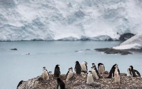 南极史上首次出现20.75℃高温 南极洲高温原因揭秘