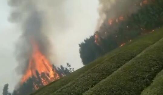 湖北通城一村落突发森林火灾 目前已造成1人死亡