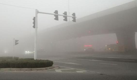 河南多地出现大雾天气 多个高速收费站交通管制