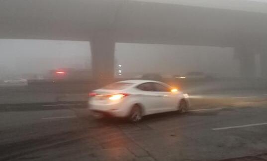 河南多地出现大雾天气 多个高速收费站交通管制