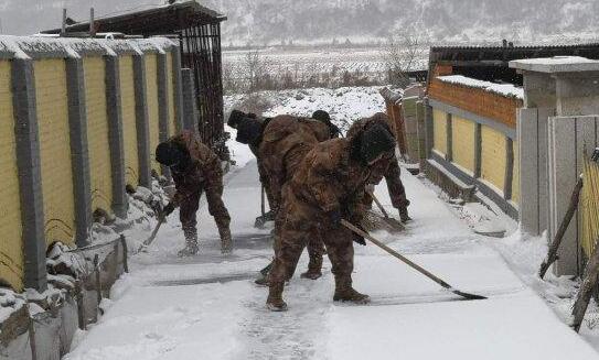 本周末吉林迎大范围降雪 多地最高气温逼近0℃