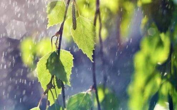 江汉黄淮大雾来袭 南方多地未来三天有阴雨