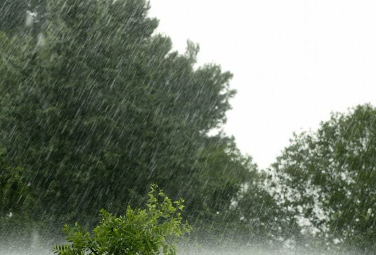 湖北告别晴朗开启雨水模式 今明天雨水持续停留