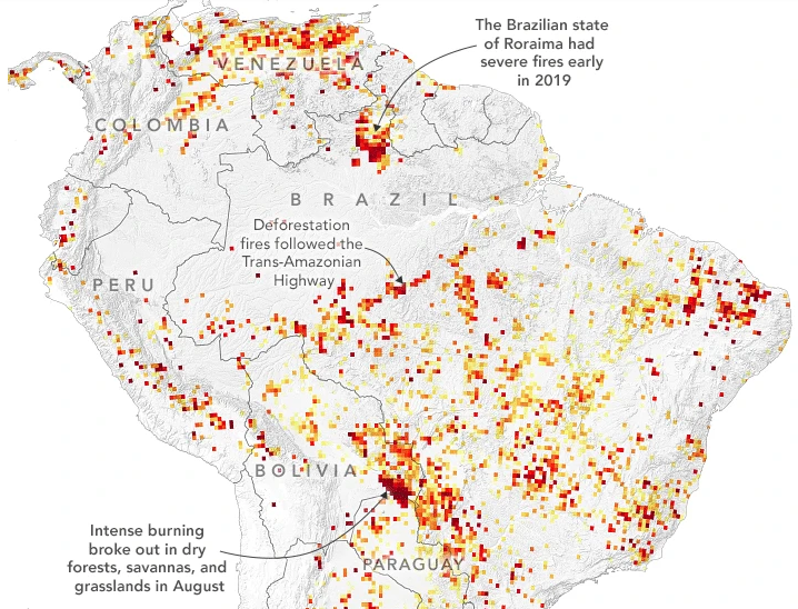 巴西亚马逊森林火灾有疑点 NASA：迹象反常人类应警觉