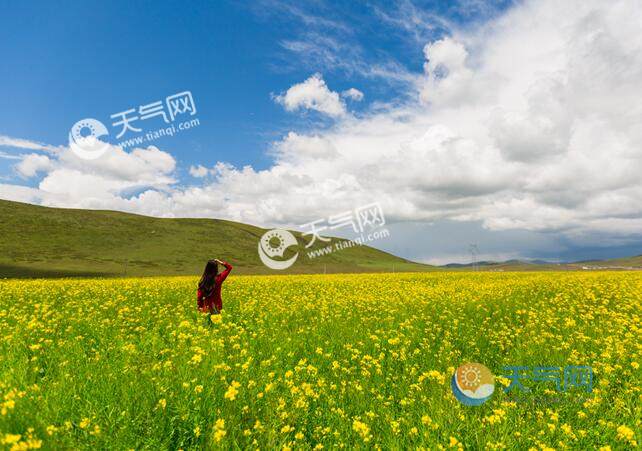 2020汉中油菜花在哪个县 汉中油菜花最佳观赏地