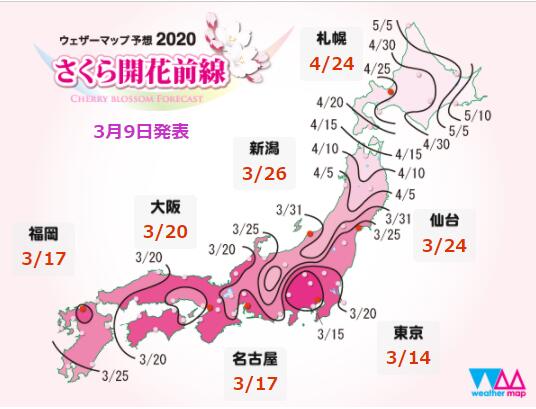 2020日本樱花什么时候开 2020日本樱花季预测一览表
