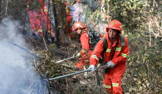 湖南前两个月森林火灾13起 同比下降60.6%无人员伤亡