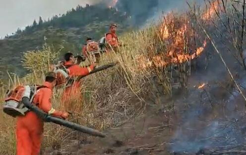 昆明东川区发生森林火灾 山火已扑灭无人员伤亡