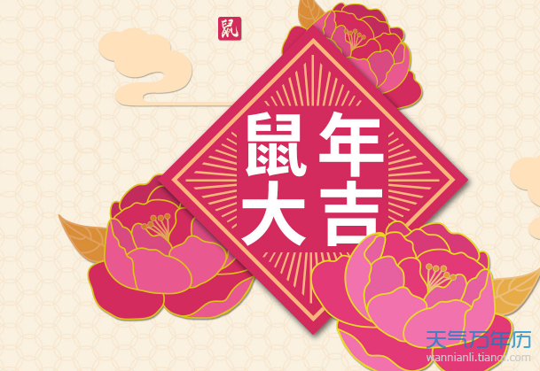 鼠年是什么年