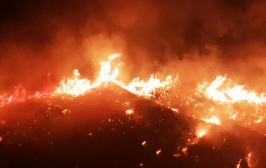 昆明东川区发生森林火灾 山火已扑灭无人员伤亡