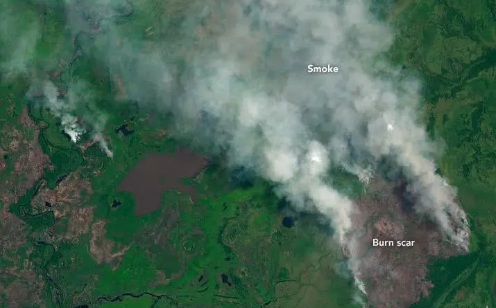 美国卫星拍到南美新发现：巴西亚马逊雨林又烧了！