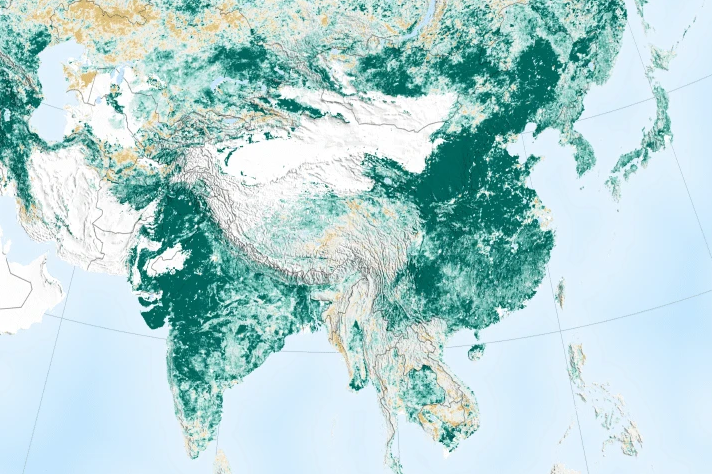 植树节NASA给中国点赞！四分之一个中国已经变绿