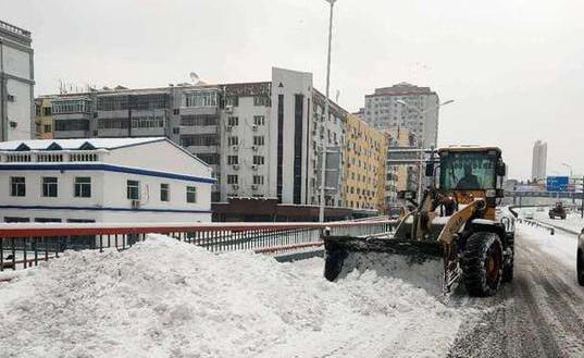 哈尔滨降雪量已达4mm以上 全市出动1.8万余人次开展除雪工作