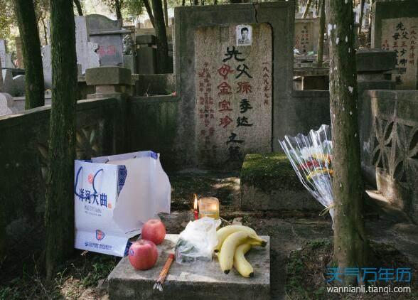 2020清明扫墓用什么花 清明节祭祀用什么鲜花（组图）