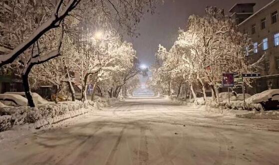 吉林大范围持续降雪 部分高速路段入口关闭