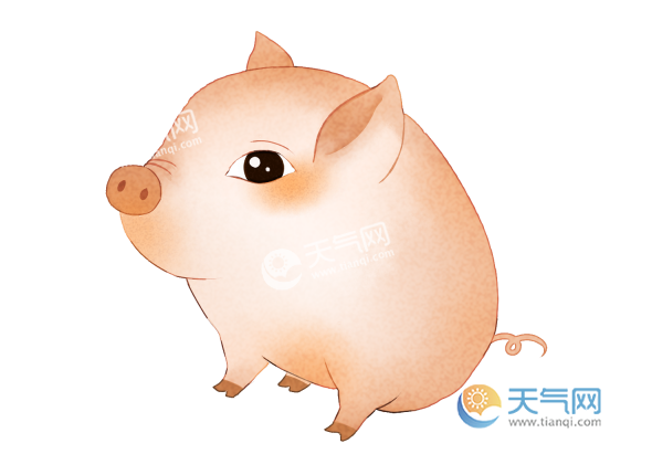 乙亥年是哪一年 乙亥年是什么生肖属什么