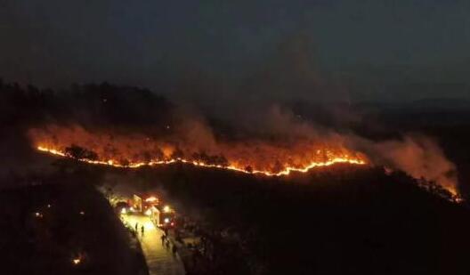 北京发布森林火险橙色预警 局地有扬沙最高气温23℃