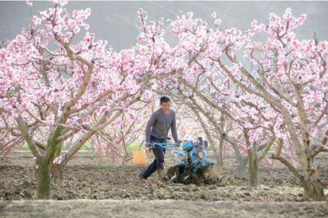 2020兰州清明节冷不冷？清明节兰州最低温多少度