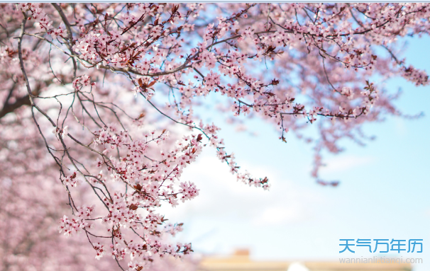 三月初三是什么日子 农历三月初三是什么节日