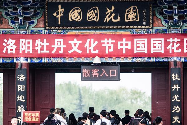 洛阳2020赏花最佳去处 2020年洛阳赏花绝佳位置地点