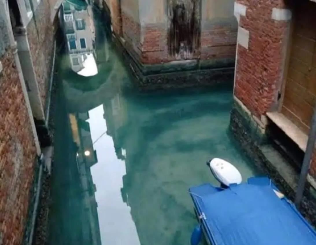 意大利威尼斯运河由浊变清 不是气候变化反倒是好事
