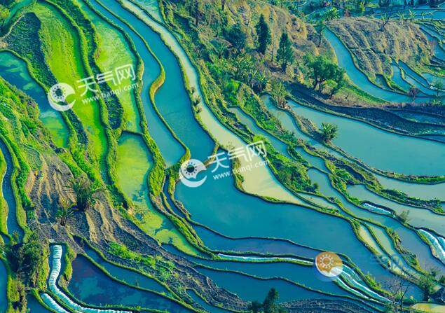 2023清明節(jié)云南旅游哪里好玩 清明時節(jié)云南最美的地方