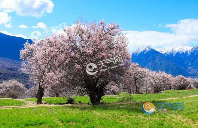 2020清明节西藏旅游哪里好玩 清明时节西藏最美的地方