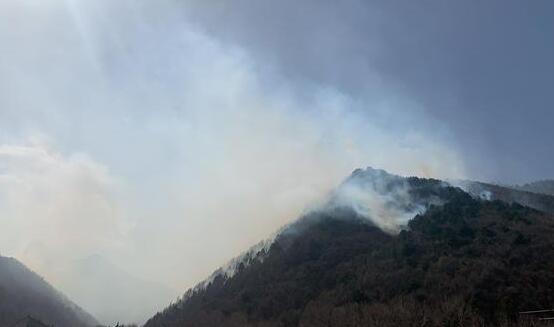 五台山一停车场附近发生山火 太原消防救援队及时灭火