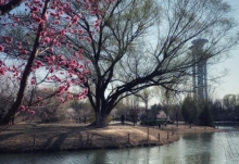 北京今年正式入春时间3月15日 比常年同期偏早半个月