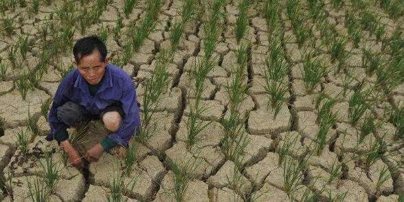 科学家：未来全球或导致骤旱现象显著增加