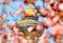 北京3月15日正式入春！与往年相比提前至少15天