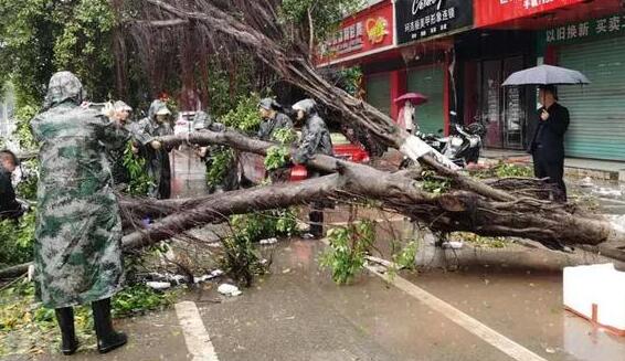 广西发布10条雷电暴雨预警 昨天河池等地暴雨+雷暴大风