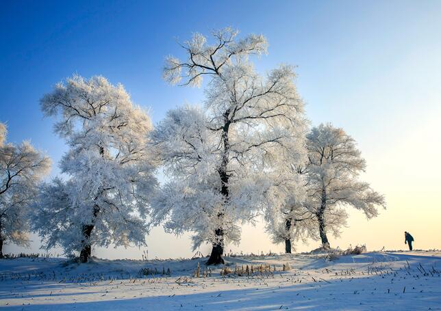 吉林省全年天气情况 吉林一年四季天气怎么样