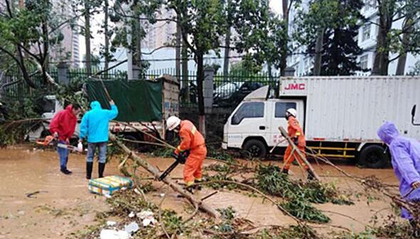 赣州定南迎遭遇罕见强对流 街头树木被风连根拔起一片狼藉