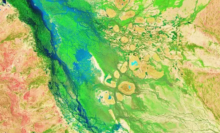 NASA：澳大利亚最干旱地区竟然变成绿色