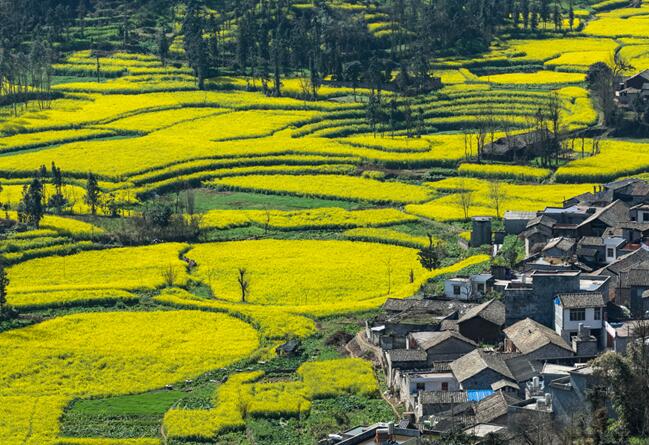 4月中旬旅游景点推荐 4月份中旬一些风景秀丽的地方