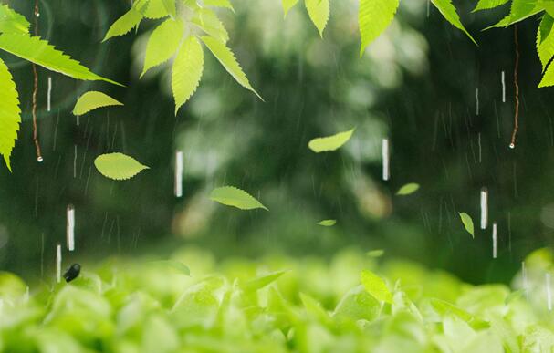关于谷雨的诗句古诗 描写谷雨时节的诗句汇总
