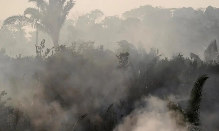 南美洲又冒出浓烟疑似森林火灾：大半是人为纵火