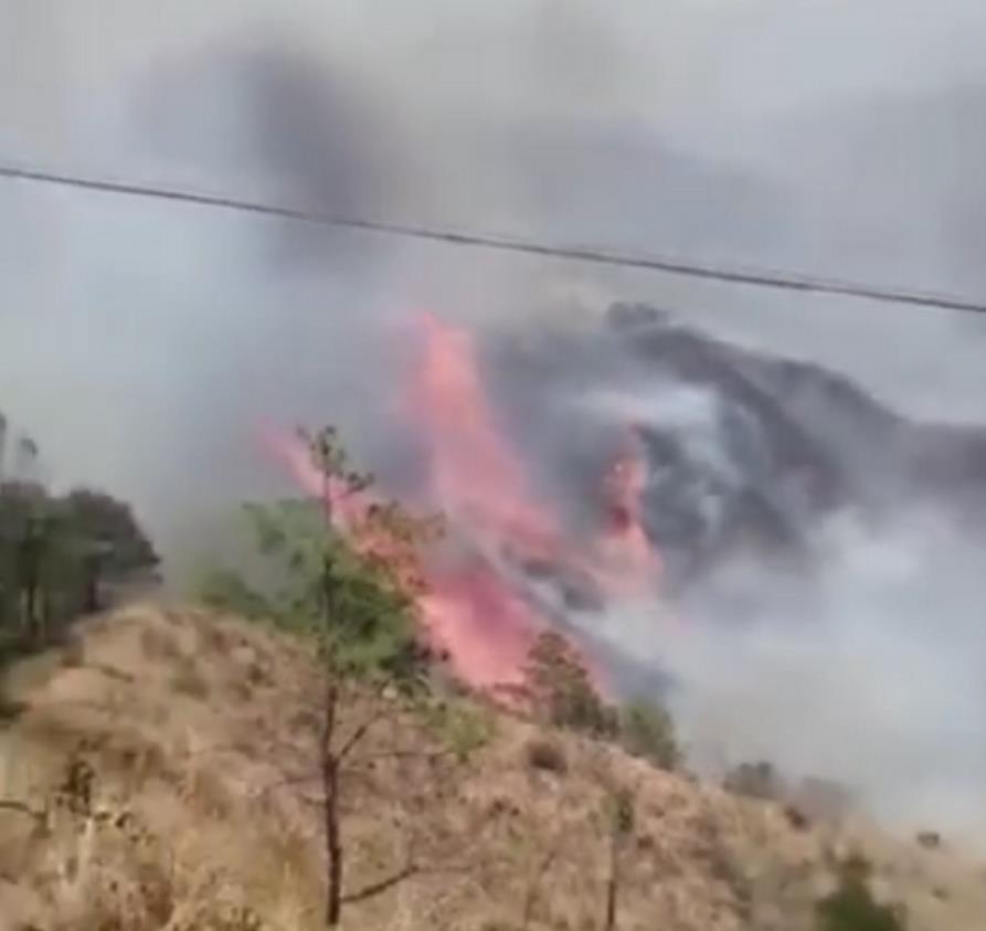 云南大理森林火灾最新消息 出动600人+直升机扑救