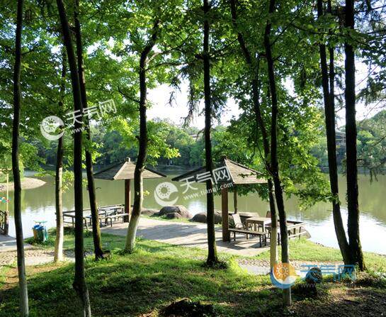南昌景点排行榜_国庆节各大城市旅游收入排名,上海领先成都,南昌冲进前十