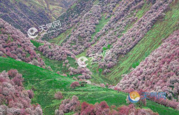 2020四五月份去哪旅游最合适 45月份旅游最佳地方