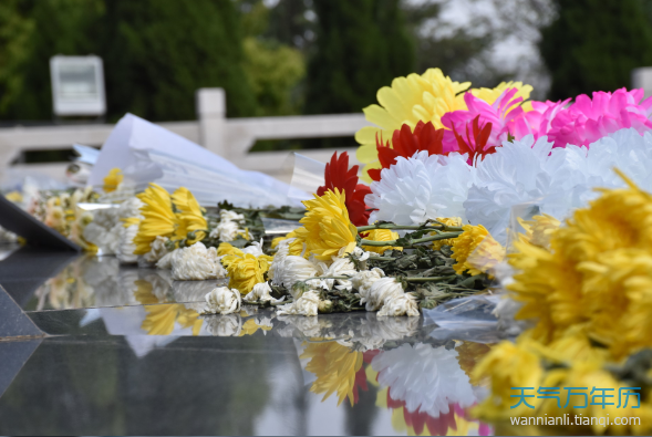 清明节上坟送什么花 清明节祭拜用什么花合适