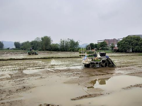 水利部：长江2020年或会发生流域性洪水